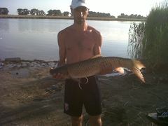 fish